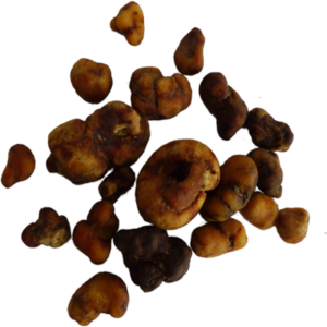 MAGIC TRUFFLES