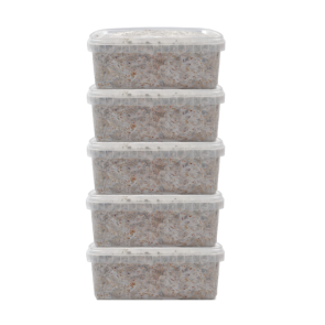 5 MAGIC MUSHROOM GROW KIT DISCOUNT PACK – MYCOMATE - Image 3